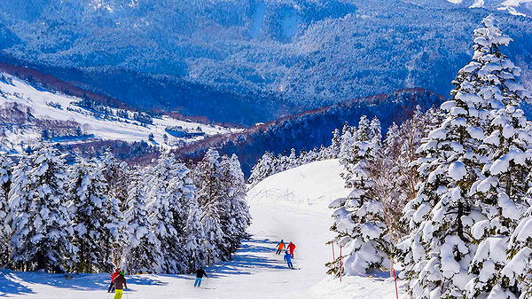 Skiers enjoying a snowy slope in a picturesque mountain landscape