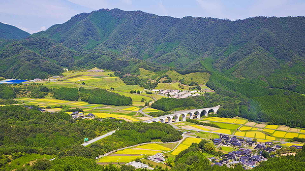 Scenic view of lush fields and arched bridge in rural landscape