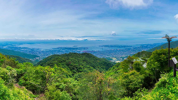 Scenic view of lush green hills and distant cityscape