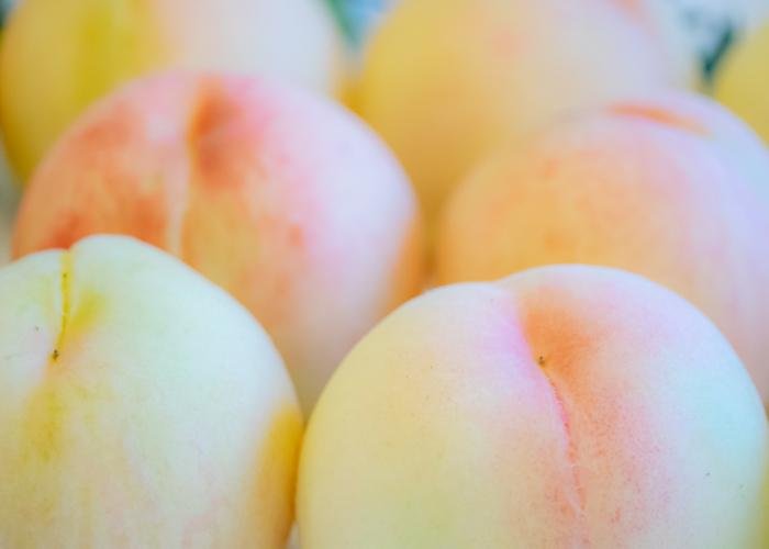 Close-up of pristine Shimizu white peaches