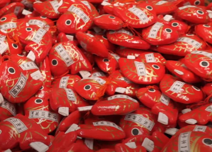 Close up image of artificial koi fish containing omikuji fortunes