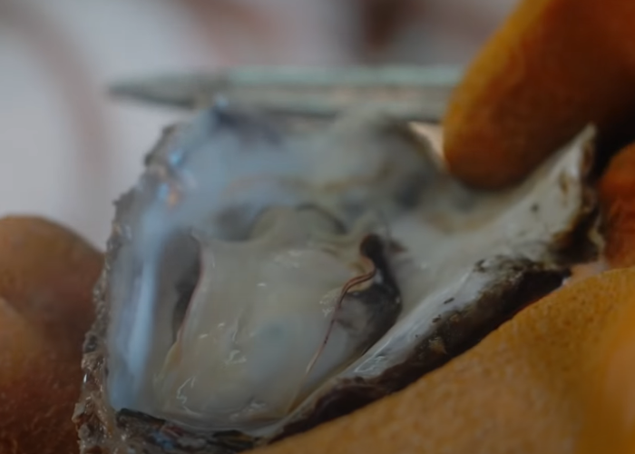 Freshly steamed Oyster