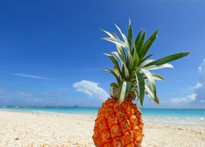 Pineapple against a blue sky and ocean