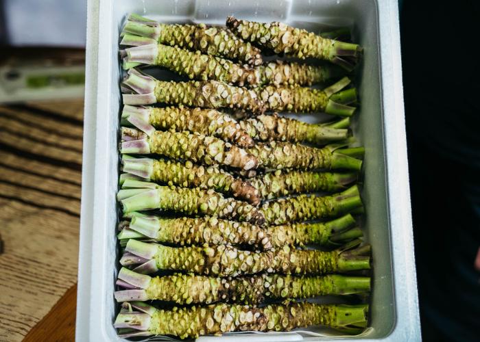 Box of wasabi from a wasabi farm in Shizuoka