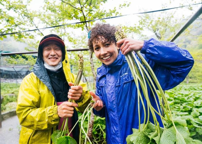 Wasabi farmer and journalist holding up real Japanese wasabi roots at a wasabi farm in Shizuoka