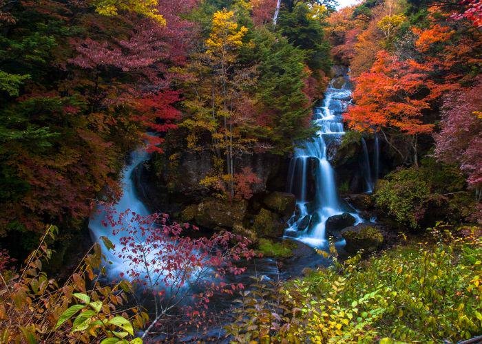 An image of Ryuzu Waterfall surrounded by red, orange and yellow trees