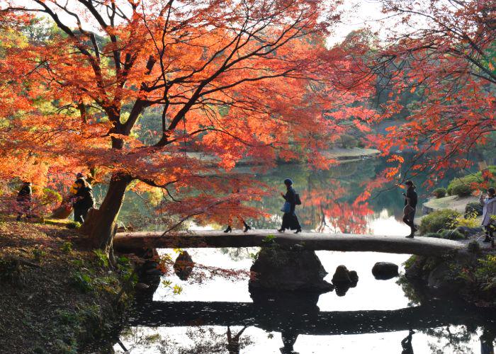 An image of people walking over a flat stone bridge above a pond, with orange trees on either side 