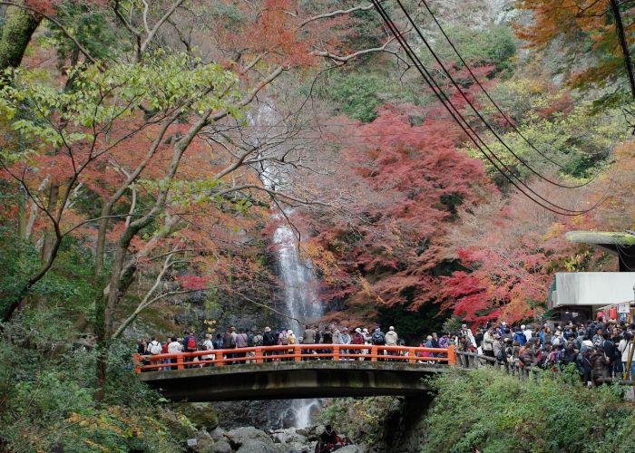 People on a bridge admiring a waterfall surrounded by autumn trees