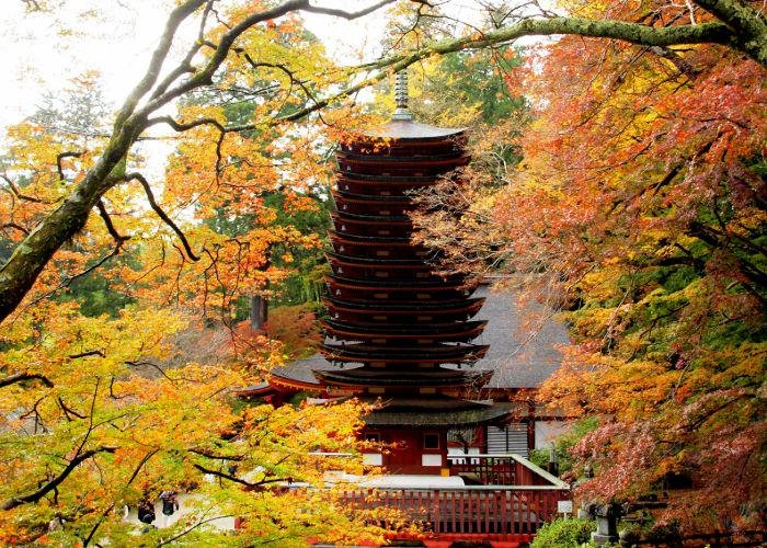 A 13-storied pagoda surrounded by autumn trees
