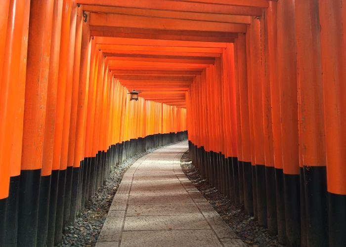 A tunnel of red torii gates 