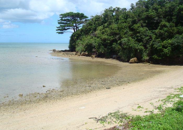 A photo of an empty with golden sand and dense green foliage surrounding it
