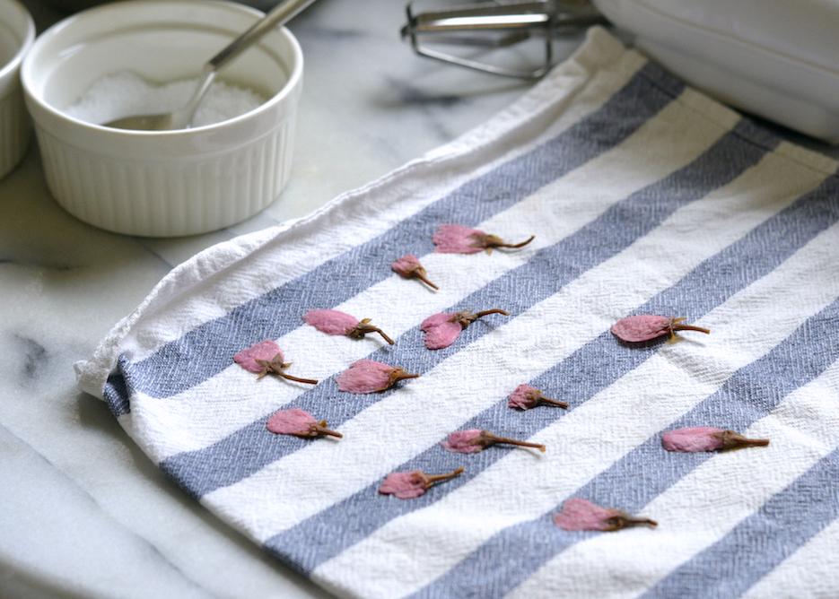 Salt-pickled sakura blossoms drying on a striped tea towel