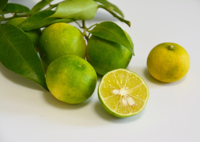 Sudachi citrus on the branch, one citrus is cut in half.