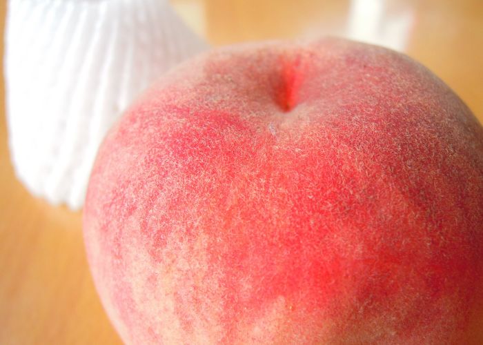 A close-up of a Japanese white peach with foam cover in the background