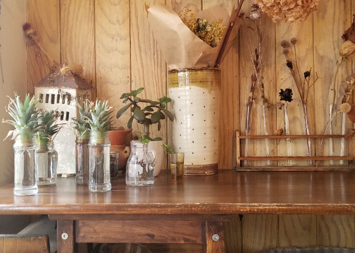 A counter table at Meu Nota with various knickknacks and plants