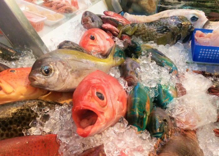 Fish on ice at the fish marketing in Kanazawa
