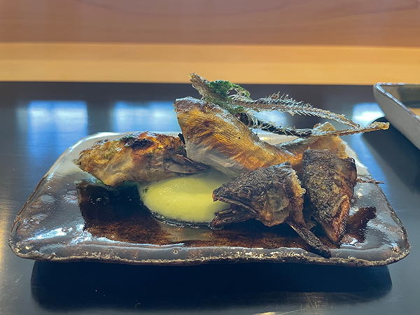 Gourmet fish dish elegantly plated on modern tableware