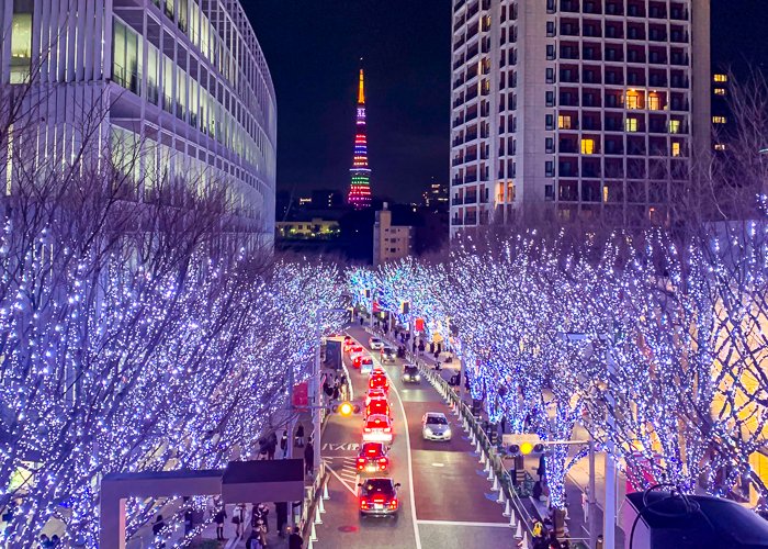 A street in Roppongi, Tokyo, with illuminated trees leading to the Tokyo tower