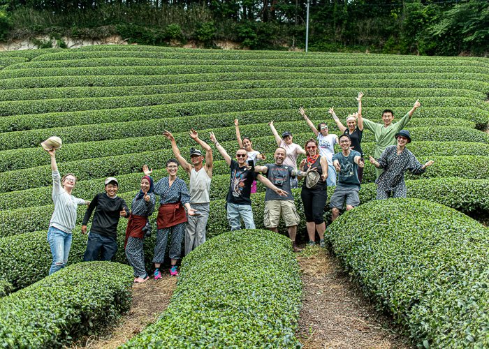 a group of people standing in a tea field