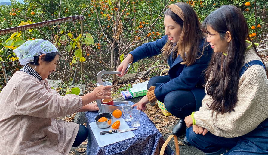Day as a Mikan Farmer! Ehime Mikan Picking, Marmalade Making 15
