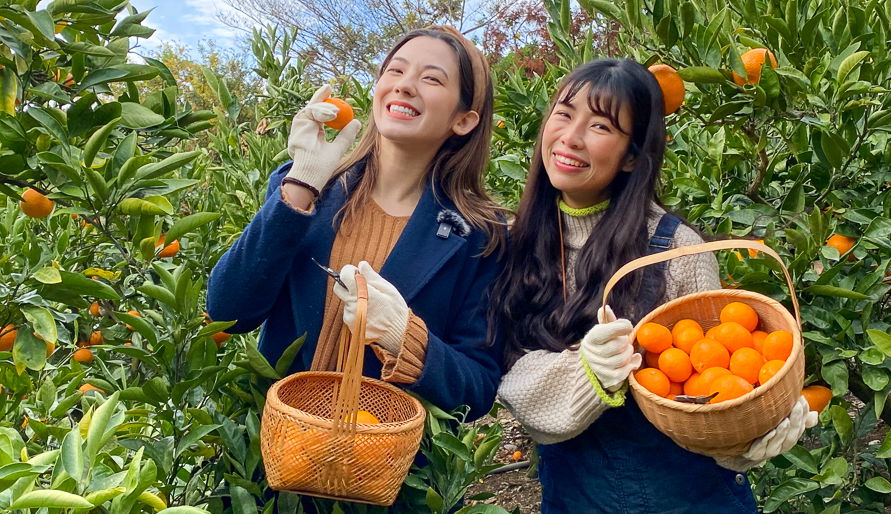 Two people smiling with the mikan that they picked during a tour of a mikan farm