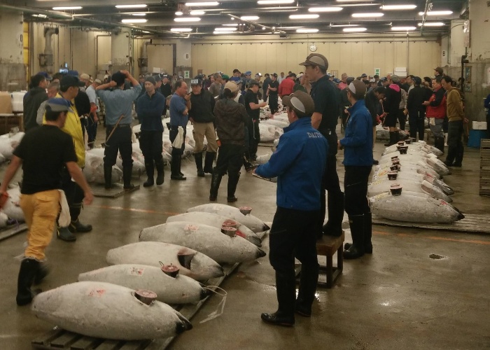 Tsukiji Fish Market wholesale inner market before it closed in October 2018