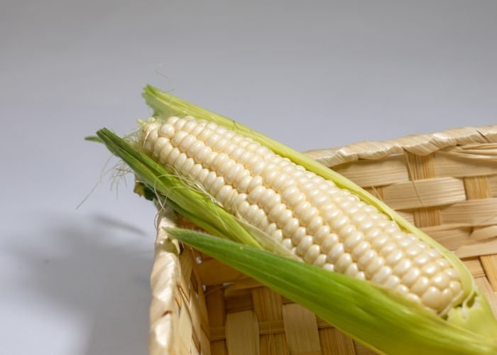 Hokkaido sweet white corn