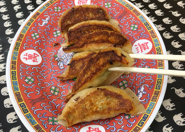 Gyoza on a plate, chopsticks pick up a piece of gyoza