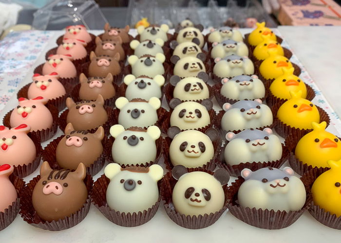 Cute animal themed chocolates