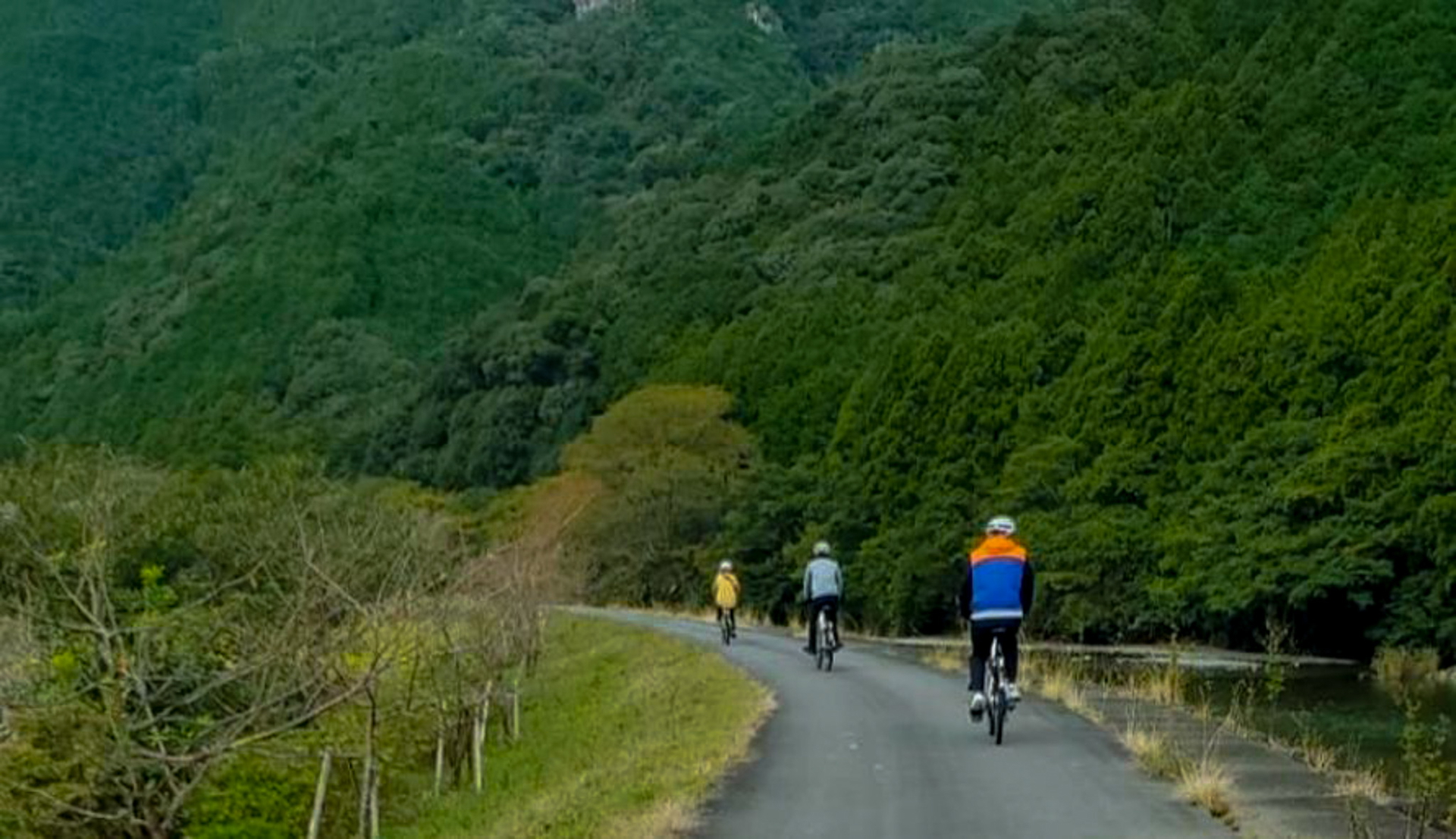E-bike Tour of Shinto Shrine and Ouchiyama Milk Village 4