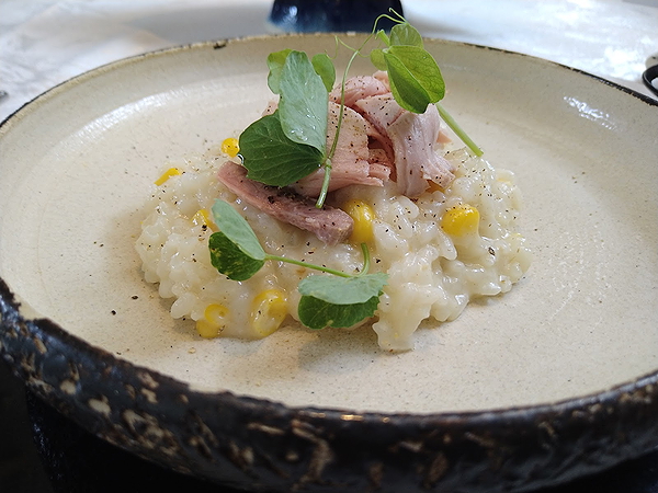 Gourmet corn risotto garnished with microgreens on a rustic plate