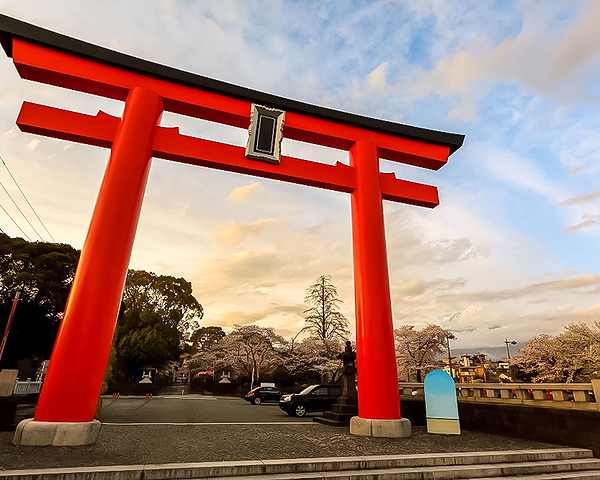Flavors of Mt. Fuji Food Tour with Shinkansen Bullet Train 8