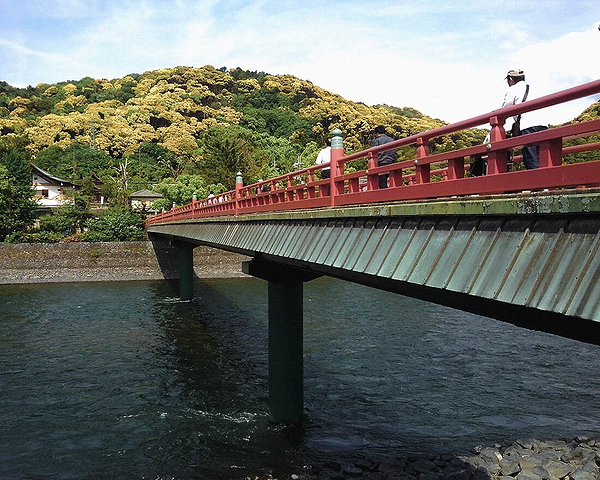 Kyoto Matcha Green Tea Tour in Uji with Lunch 5