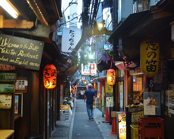Shinjuku Food Tour: Omoide Yokocho, Kabukicho and Golden Gai 5