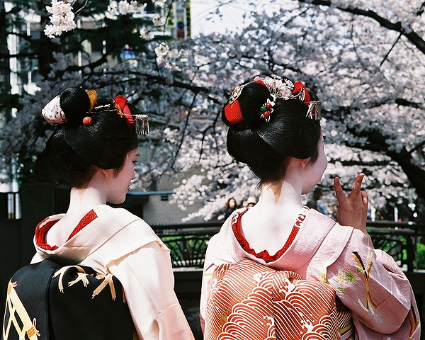 Kyoto Cherry Blossom Food Tour 2023 9