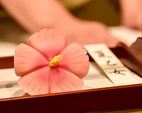 Vegan Ginza Tour 1