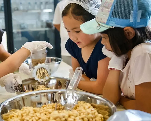 Japanese Miso Making Experience in Kagoshima 4