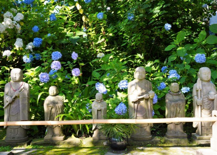 Guardian deity of children "Jizo" stone statues with hydrangea flowers at Meigetsuin Temple in Kamakura Japan.