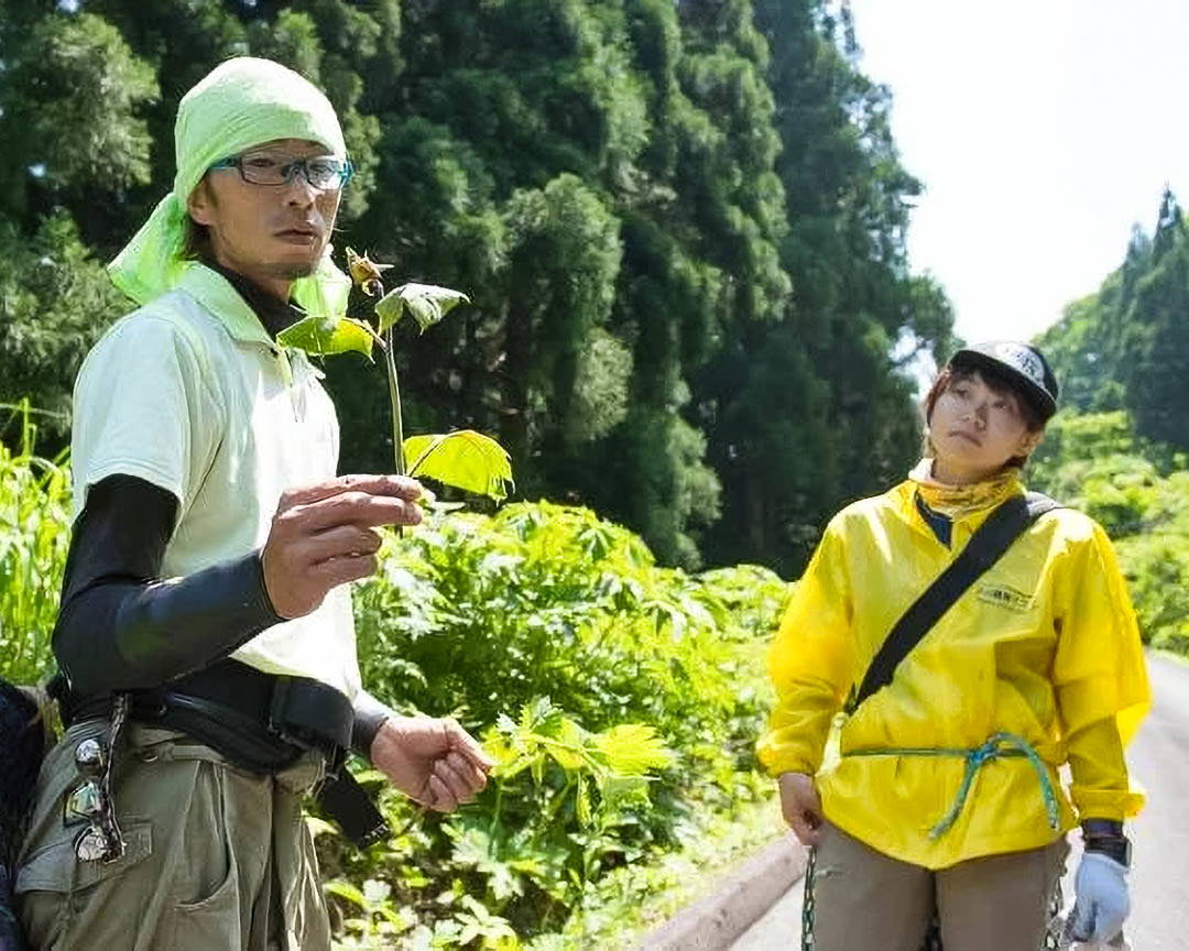 Mt. Gassan Vegetable Foraging Experience with Cooking Lesson 10