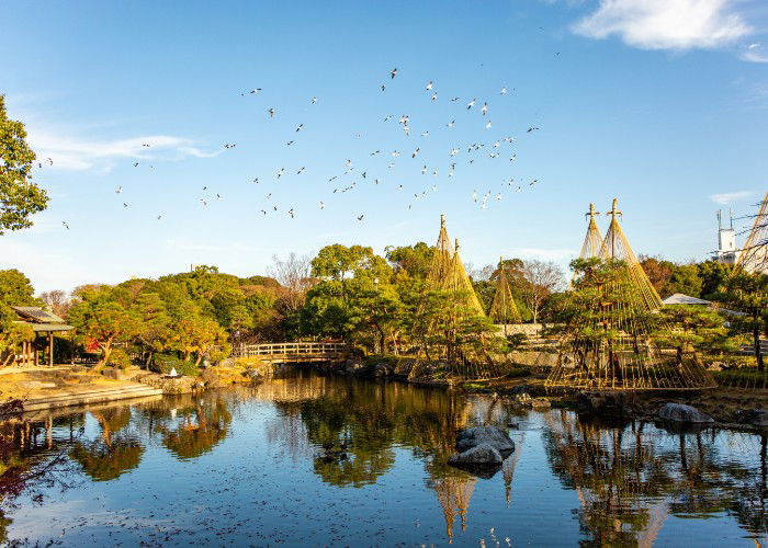 Shirotori Garden / Japan - Decemeber 05, 2018: A wide view of bird flying over the bamboo architecture in Shirotori Garden Nagoya