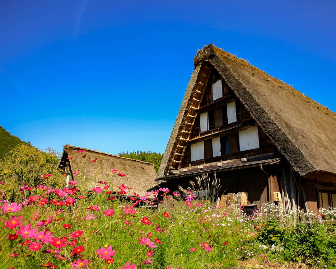 UNESCO World Heritage Site Shirakawa-go Half-Day Food Tour 2