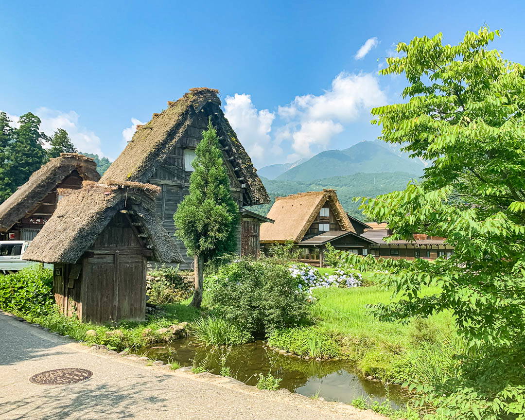 UNESCO World Heritage Site Shirakawa-go Half-Day Food Tour 7