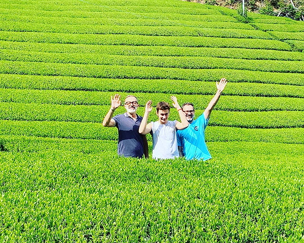 Refreshing Shizuoka Bicycle Tour and Green Tea Experience 4