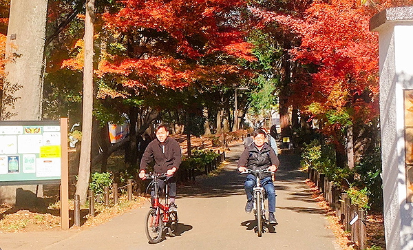 Tokyo Mystery Tour: Bike Ride, Unusual Museums, and More 2