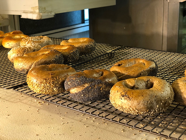 Freshly baked bagels cooling on a rack in a bakery kitchen