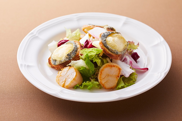 Gourmet scallop salad with creamy cheese and fresh greens