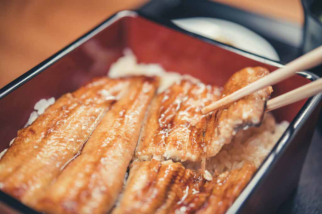 A thick, juicy cut of unagi eel being broken up by chopsticks at Shikaku.