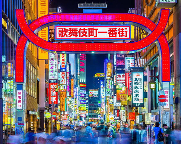 Shinjuku Night Adventure: Izakaya, Golden Gai, & Street Food 8