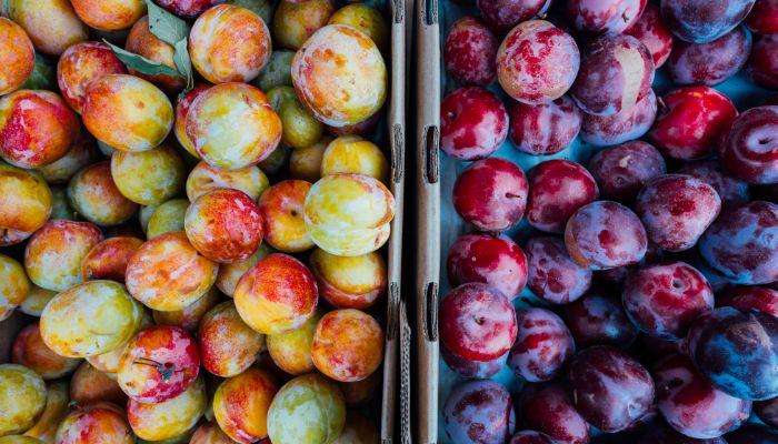 Ume fruits