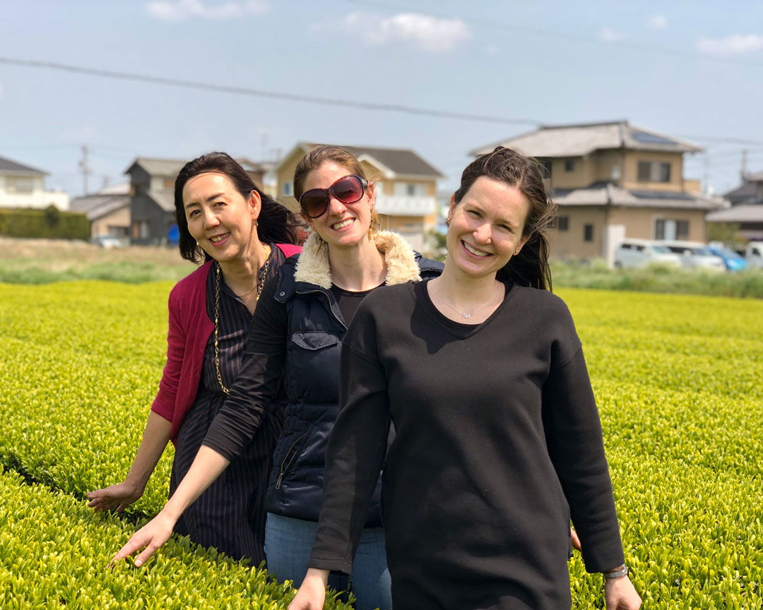 Tea Plantation Tour, Factory Visit, & Tasting in Shizuoka 4